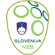 斯洛文尼亚U20